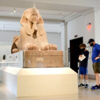 Sightseeing Tickets & Passes