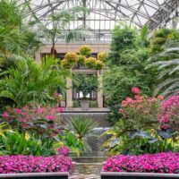 Holiday & Seasonal Tours