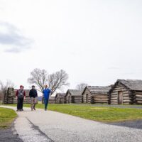 Half-day Tours