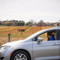 Day Trips & Excursions