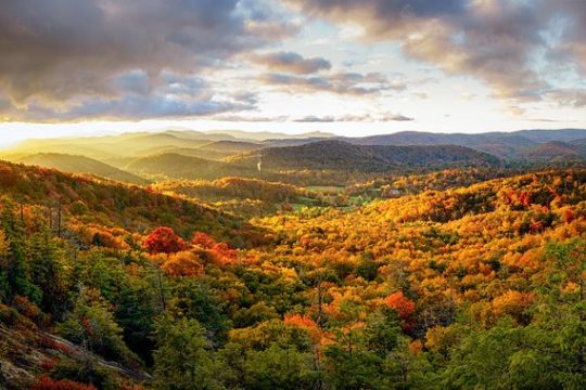 Private Waterfall and Blue Ridge Parkway Tour with a Naturalist