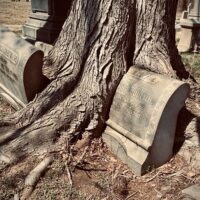 Archaeology Tours