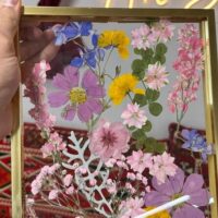 Classes & Workshops