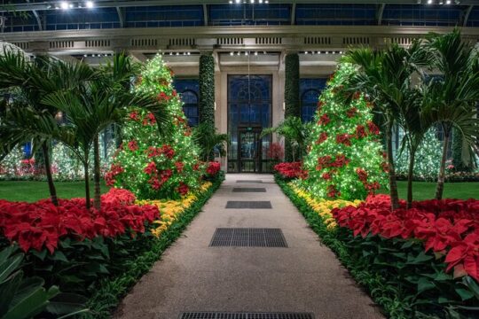 Longwood Gardens Holiday Lights Tour from Philadelphia